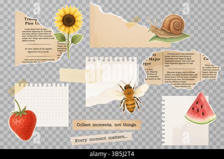 Mixed media collage with transparent background including torn text, insects, flowers, fruits, notes and tape. Great for creative summer layouts. Stock Vector