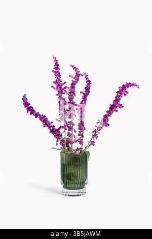 Sage flowers in a green crystal vase isolated on a white background Stock Photo