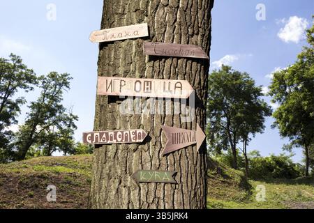Tree in the woods with signs in Serbian language on it Stock Photo