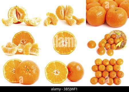 Photo collection of different mandarins isolated on a white background Stock Photo