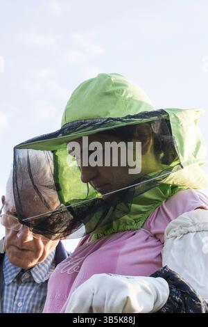 Woman beekeeper looks after bees in the hive with senior beekeeper mentor Stock Photo