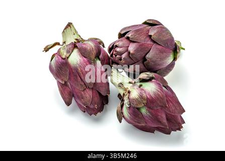 Three Cynara cardunculus scolymus artichokes, isolated on a white background Stock Photo