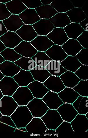 The green and silver wire mesh showcases a hexagonal pattern, providing a stark contrast against the dark background. This design emphasizes both the Stock Photo