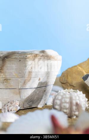 Blue sky. Limestone shells of snails. Abandoned shells lie on the beach. Sandy shore of the sea beach Stock Photo