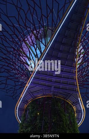 Low angle view of the futuristic supertree grove illuminated at night, showcasing vibrant colors and intricate design Stock Photo