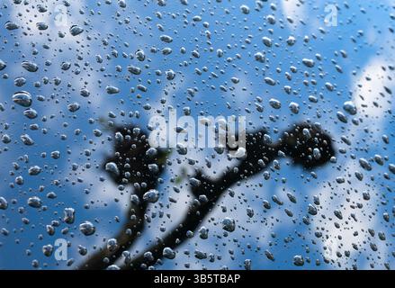 Raindrops on a window with a blurred view of a tree and blue sky. Stock Photo