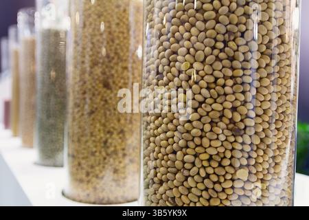 Seeds of grain crops are demonstrated at the agricultural exhibition. Industry Stock Photo