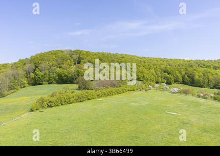 View of the forest and pastures from the historic Wartturm Wehnder Warte, Lindenberg in Eichsfeld, Thuringia, Germany, Europe Stock Photo