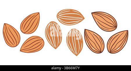 Hand-drawn Almonds, a Nutritious Snack Illustration Stock Vector