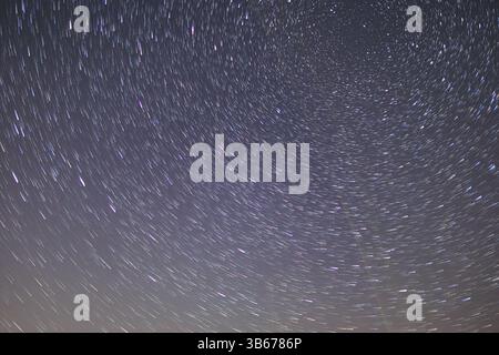 Beautiful startrails at dark night sky over some fields and high trees silhouettes at sky with milky way with moving clouds and flying Perseids Stock Photo