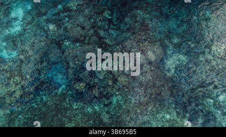 Tropical sea surface with coral reef underwater. Top down top view Stock Photo