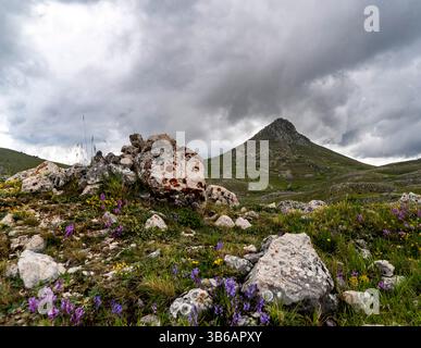 A scenic mountain landscape featuring a rocky foreground with colorful wildflowers, under a dramatic cloudy sky. The mountain peak rises in the backgr Stock Photo