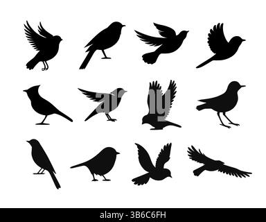 Vector birds silhouette fly sparrow icon. Animal dove bird silhouette raven feather perch cardinal black icons Stock Vector