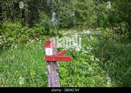 Wooden trail post pointing at a path on a lush green meadow Stock Photo