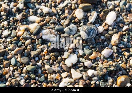Wet pebbles of various colors and sizes creating a beautiful natural textured background on a beach Stock Photo