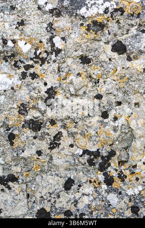 Textured surface of an old stone wall covered with lichen and moss, creating a natural abstract pattern Stock Photo