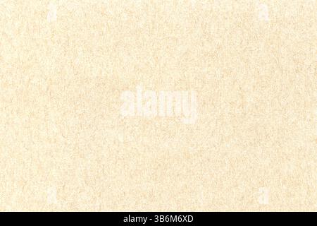 Surface of light-brown paper or cardboard, background, texture. Backdrop of smooth brown paper surface. Flat and a little bit fibrous brownish paper Stock Photo