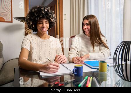 Two female students studying and taking notes at home Stock Photo