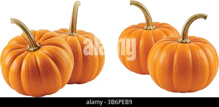 Four vibrant orange pumpkins on a clean white background Stock Vector