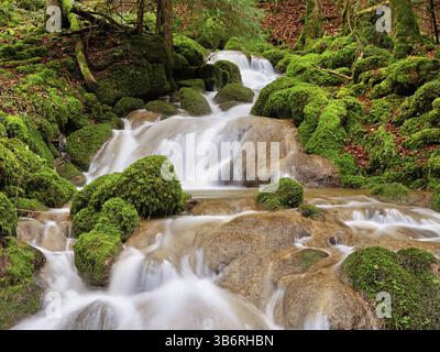 Waterfall with moss-covered rocks, Sihlsprung, Menzingen, Canton Zug, Switzerland, Europe Stock Photo