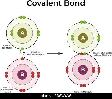 Covalent Bond Formation Design Vector Illustration Stock Vector
