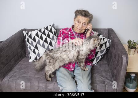 Theme old person uses technology. Mature contented joy smile active grey hair Caucasian wrinkles woman sitting home living room on sofa with fluffy ca Stock Photo