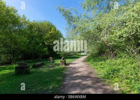 Path through Anderton nature park in spring sunshine. Northwich, Cheshire, England. Stock Photo
