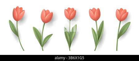 Vector 3d Cartoon Tulip Flower Icon Set, Isolated. Blooming Tulip Stems, Soft Gradient Petals, Realistic Tulip Flower Art. Decorative Spring Tulip Stock Vector