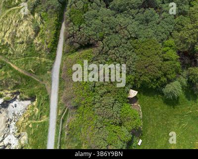 top-down view of path runs through a forest Stock Photo
