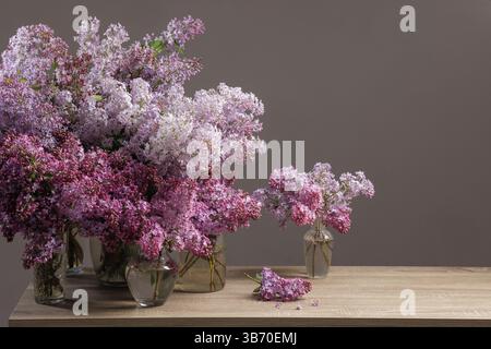 Fresh lilac flowers in glass vases on wooden table against neutral background, perfect spring floral arrangement. Stock Photo