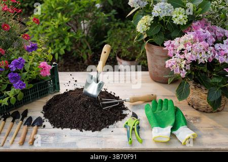 Gardening tools, soil pile, and blooming flowers arranged on a wooden table in a vibrant garden setting. Stock Photo