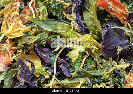 macro image of dehydrated stir fry vegetable mix Stock Photo