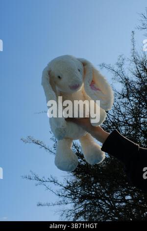 cute white plush rabbit toy held in hand against blue sky background in spring outdoor environment. High quality photo Stock Photo