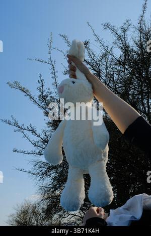 cute white plush rabbit toy held in hand against blue sky background in spring outdoor environment. High quality photo Stock Photo
