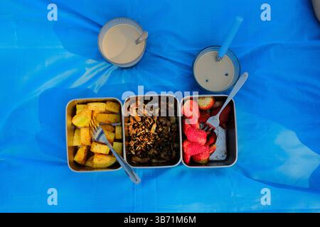 white plush rabbit toy sitting on blue picnic mat with lunchbox bento meal in grassy countryside during spring day. High quality photo Stock Photo