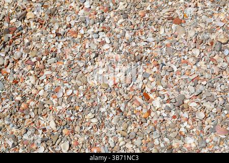 Close-up of colorful broken seashells, pebbles and sand fragments on a Mediterranean beach, forming a natural coastal texture background. Stock Photo