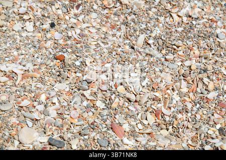 Close-up of colorful broken seashells, pebbles and sand fragments on a Mediterranean beach, forming a natural coastal texture background. Stock Photo