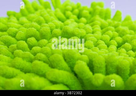 Close up of green microfiber car wash mitt with tendrils car wash detailing Stock Photo