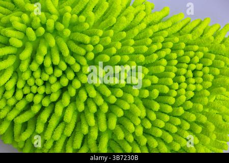 Close up of green microfiber car wash mitt with tendrils car wash detailing Stock Photo