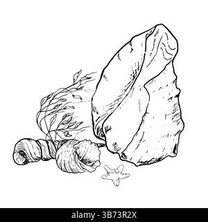 Oceanic shell and small conchs lie at the bottom of sea., black and white ink sketch. Vector illustration. Starfish and algae are waving in water colu Stock Vector
