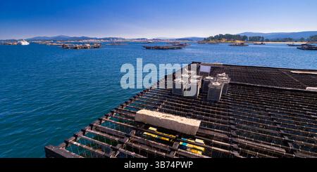 Mussel Aquaculture Rafts Batea, Mussel Growing Sea Platform, Batea Mussel Farms, Ría de Arousa, Arousa Estuary, Pontevedra, Galicia, Spain, Europe Stock Photo