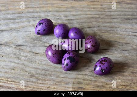 Eight purple quail eggs on a wooden background. Top view of quail eggs with shell. Small dotted Easter eggs on wooden background. Stock Photo