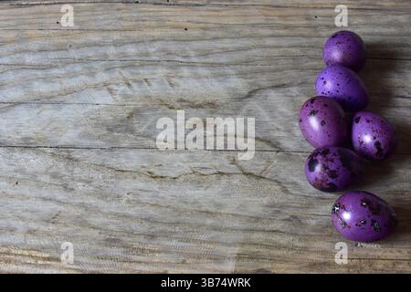 Purple quail eggs in a column row on a wooden background. Top view of quail eggs with shell in one column. Small dotted eggs on wooden background. Eas Stock Photo