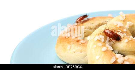 Cockroaches crawling on salted pretzels against white background Stock Photo