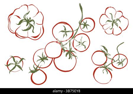 Vector Set of Fresh Organic Tomatoes Stock Vector