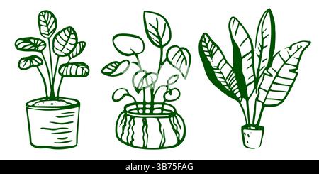 Indoor Plants in Flower Pots Vector Collection Stock Vector