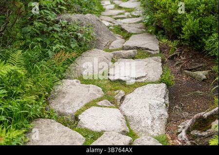 a path lined with large stones of different shapes Stock Photo