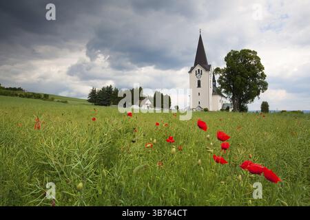 Lonely church in the middle poppy field before heavy storm Stock Photo