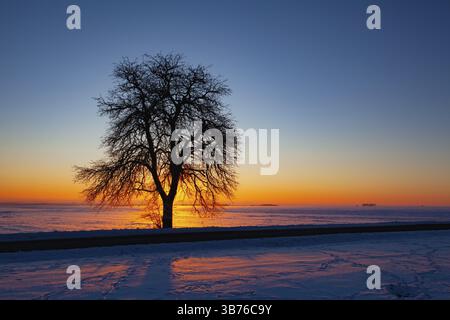Empty road through snow-covered field after a blizzard at sunset. Clear sky, golden light. Idyllic rural scene Stock Photo