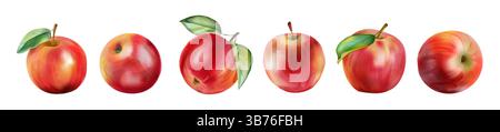 Vintage apple set. Watercolor red fruit sketch, juicy green leaf or leaves texture, graphic food or juice. Realistic whole food different side view. Autumn garden harvest. Vector isolated background Stock Vector